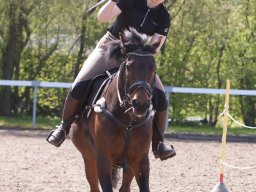 IMG_1791_web